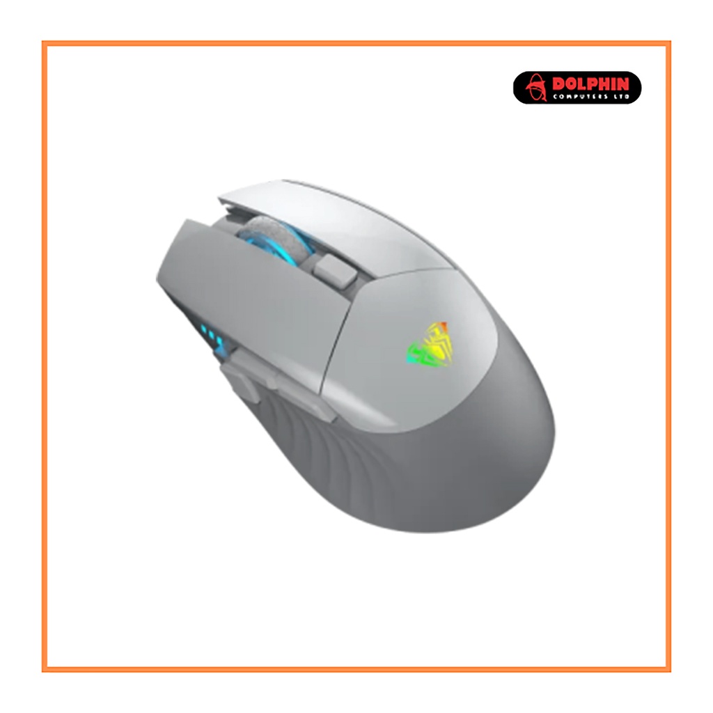 MOUSE WIRELESS SC B05