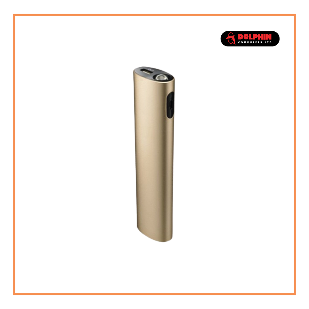 RAPOO P300 GOLD/SILVER 10000 MAH POWER BANK