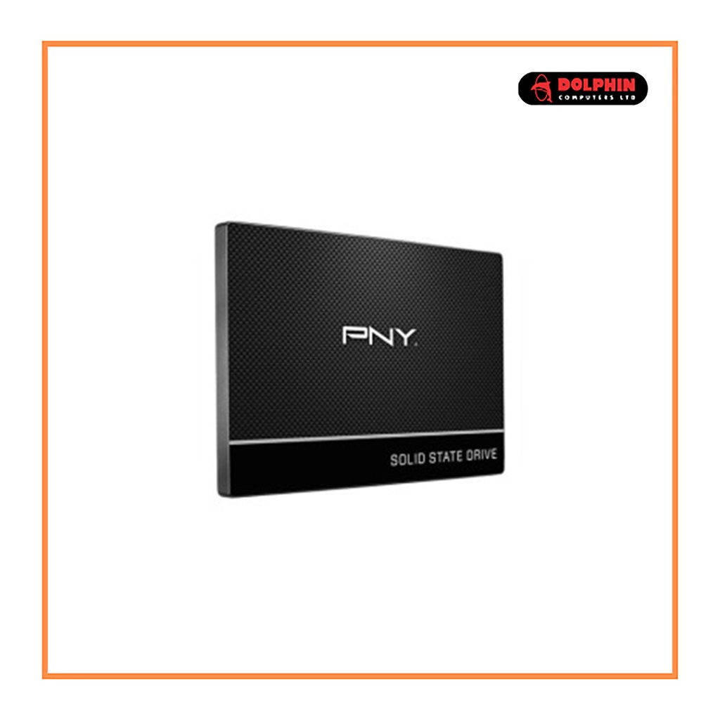 PNY /HP SSD 250GB